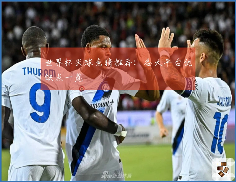 世界杯买球竞猜推荐：各大平台优缺点一览